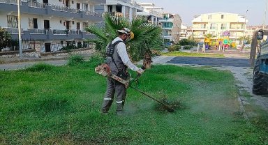 Didim Belediyesi kent genelinde ot biçme ve budama çalışmalarını sürdürüyor