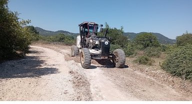 Kandıra Belediyesi'nden Fındık Hasadı Öncesi Üreticiye Yol Desteği