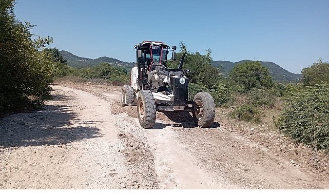 Kandıra Belediyesi'nden Fındık Hasadı Öncesi Üreticiye Yol Desteği