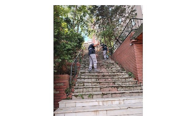 Maltepe Belediyesi'nden Altıntepe'de temizlik harekâtı