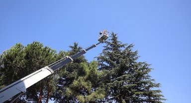 Osmangazi'de Yeşil Alanlar Titizlikle Korunuyor