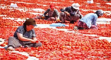 Torbalı'nın kuru domates emekçileri yalnız bırakılmadı