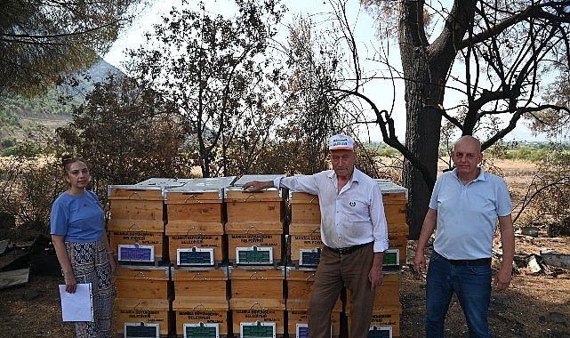 Yangında Kovanları Zarar Gören Arıcıya Büyükşehir'den Destek