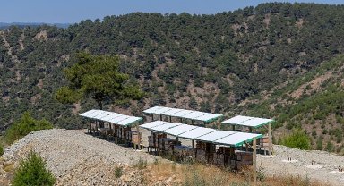 Yenişehir'de 3 Bin 600 dekarlık arı cenneti
