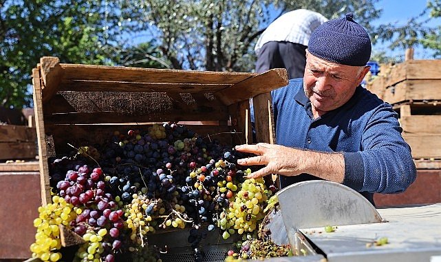 Büyükşehir'den üzüm üreticilerine makine desteği