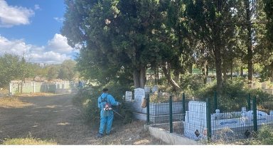 İzmit'te mezarlıklar Büyükşehir eliyle güzelleşiyor