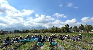 TABİP'te üretimden markalaşmaya uzanan hasat