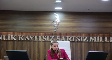 Başkan Vekili Özdemir'den Altıntaş açıklaması