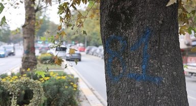 Eyüpsultan-Bayrampaşa Tramvayı'nda Çalışmalar Hızlandı